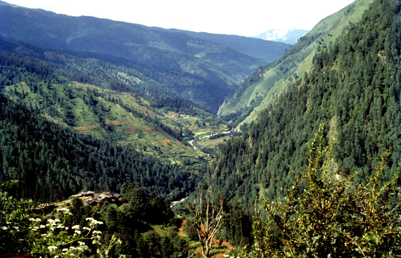Bandarpunch Base & Climb Expedition photo 4