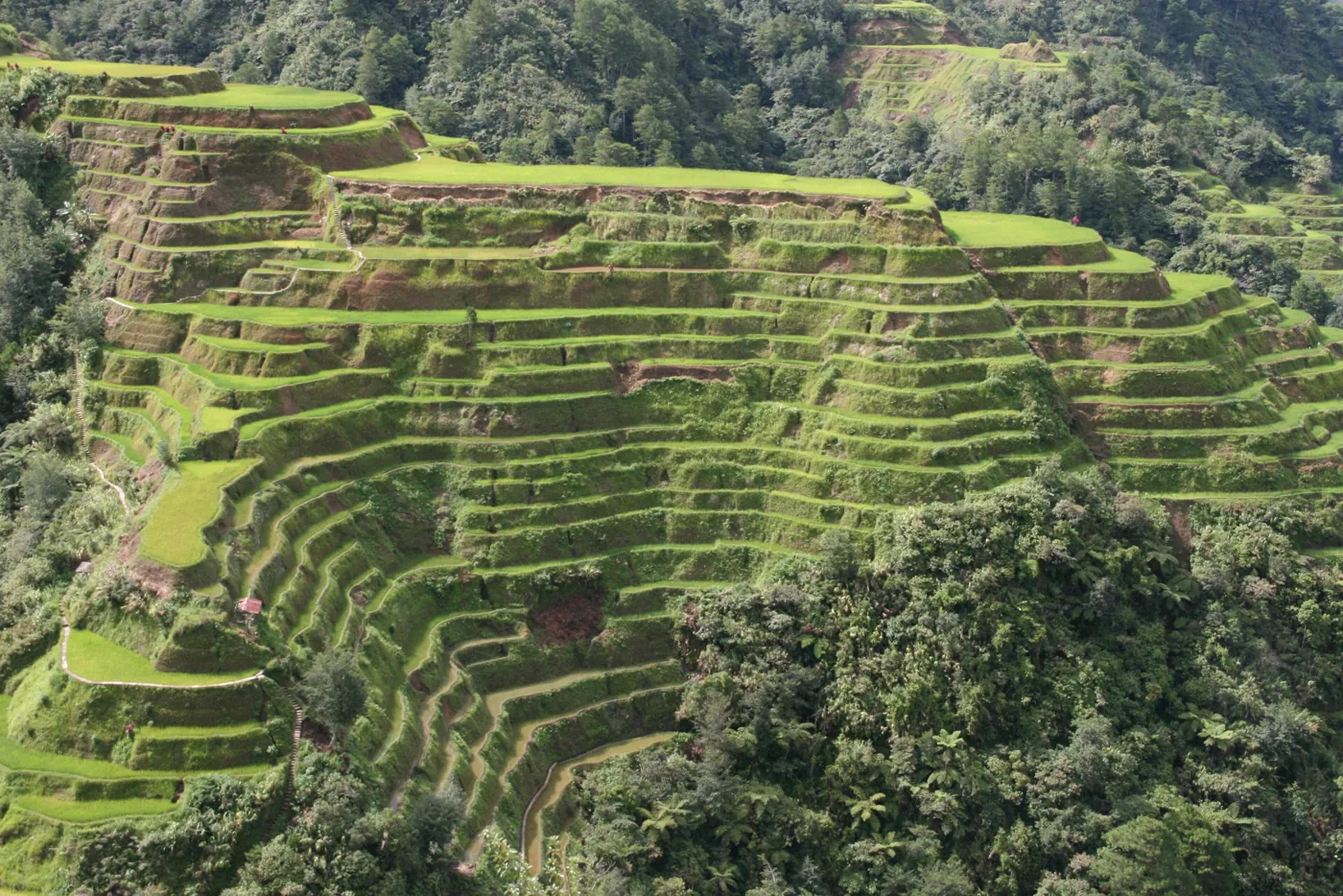 Philippines gallery 6