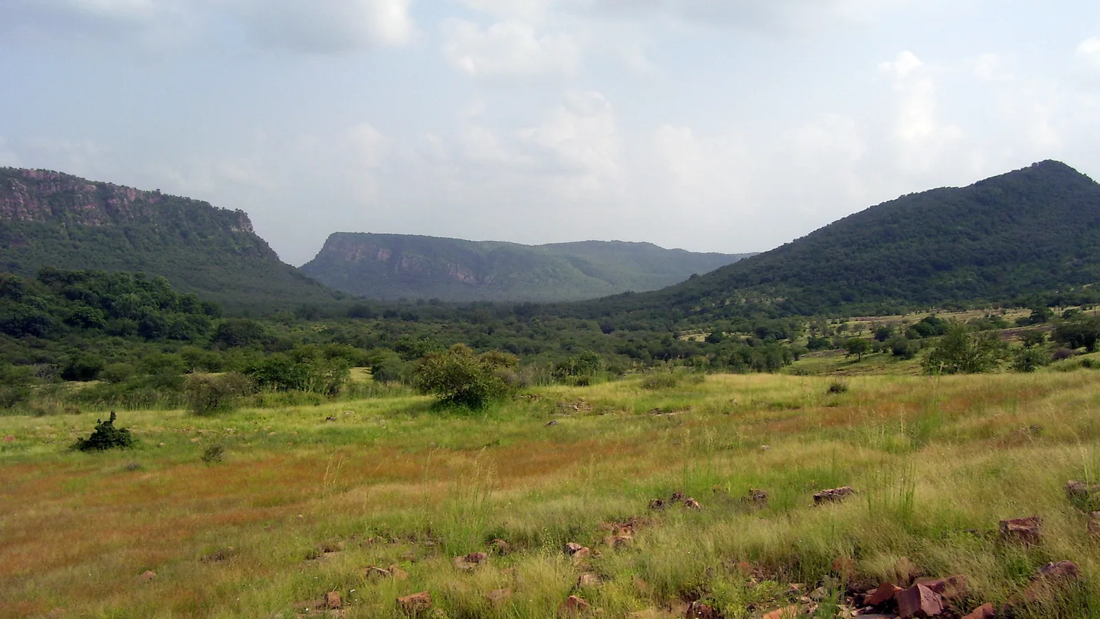 Drive Jaipur to Ranthambore — Evening Tiger Safari