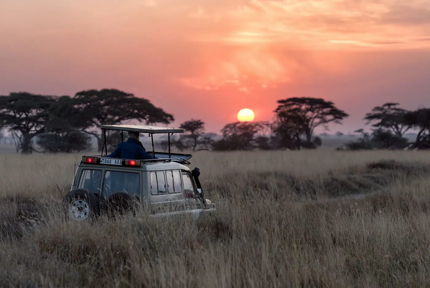 Kenya gallery 3