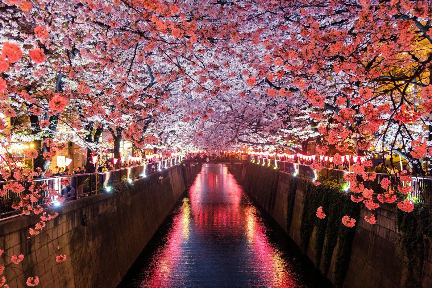 Japan gallery 4